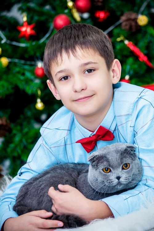 christmas decor new year's eve the boy with the cat