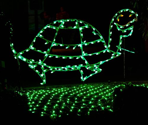 christmas decoration holiday turtle