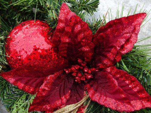 Christmas Flower And Red Bauble