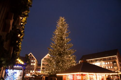 christmas market fir christmas tree