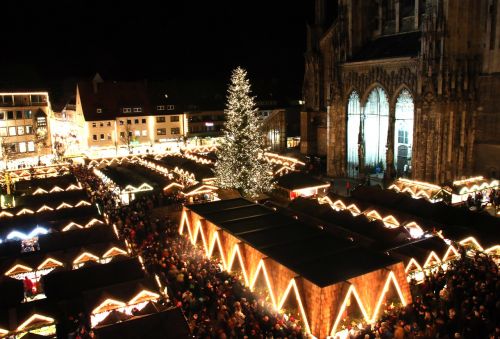 christmas market ulm ulm cathedral