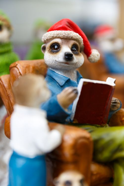 Christmas Meerkat