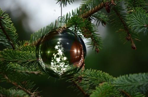 christmas ornament christmas tree christmas