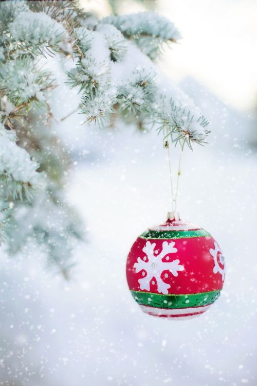 christmas ornament bulb snowy tree