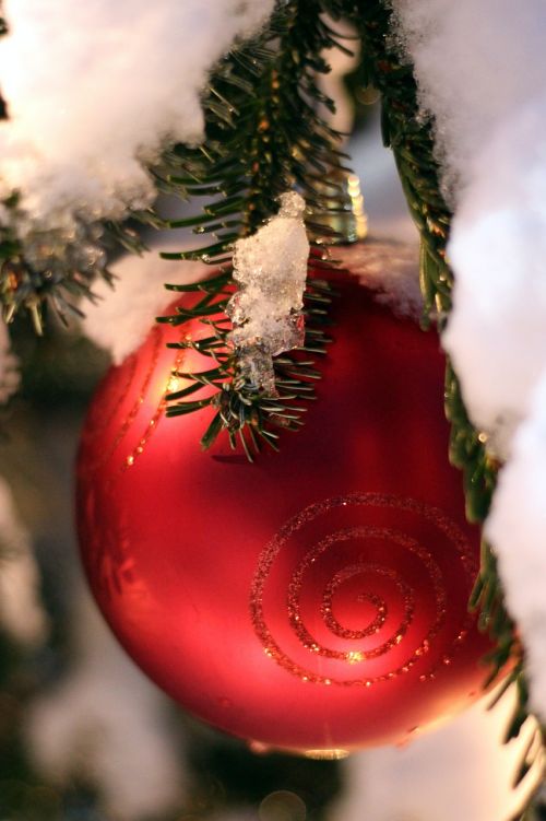 christmas ornament red fir