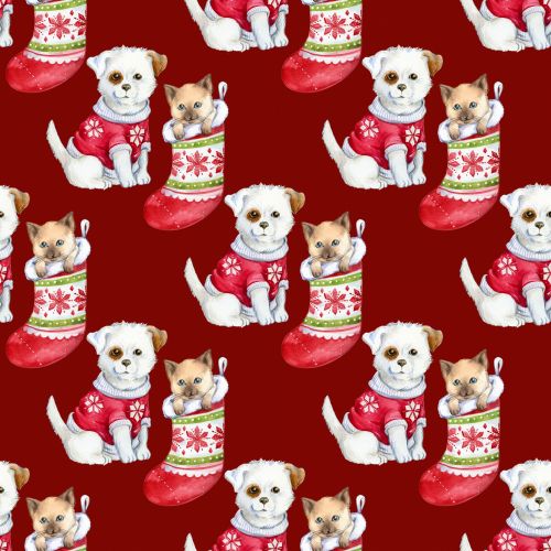Christmas Puppy Kitten Wallpaper