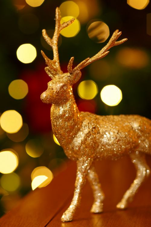 Christmas Reindeer Decoration