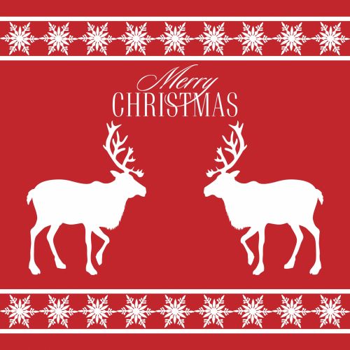 Christmas Reindeer Greetings Card