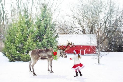 christmas scene reindeer little girl