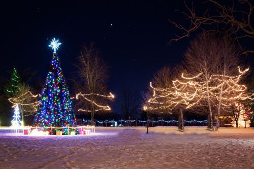 christmas town xmas tree winter