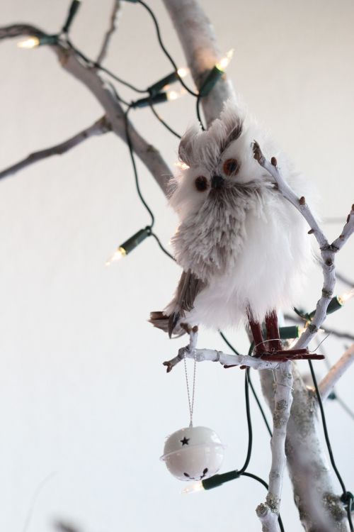 christmas tree owl white