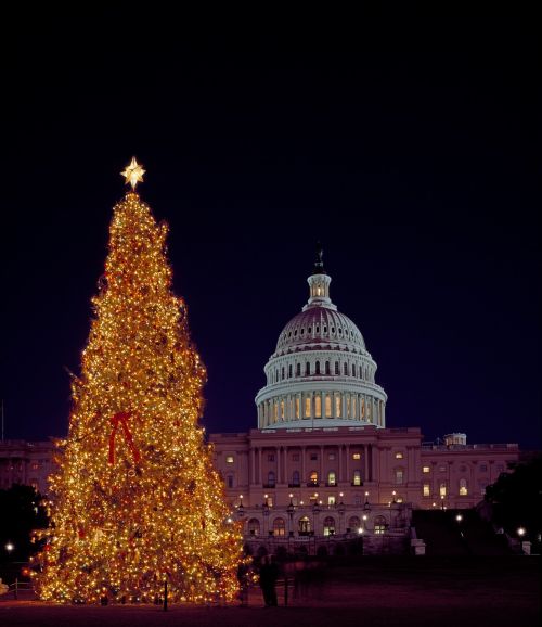 christmas tree capitol building washington dc
