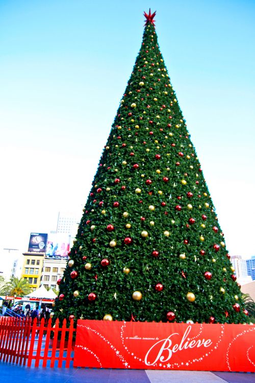 Christmas Tree