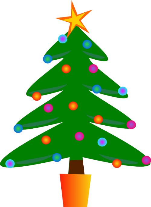 christmas tree fir tree christmas