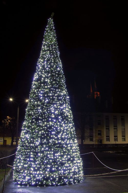 christmas tree the lights lights