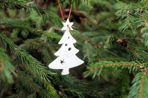 christmas tree spruce christmas