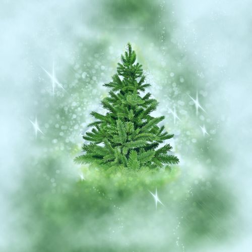 christmas tree snow christmas