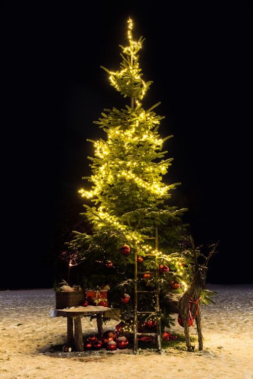 christmas tree christmas christmas decoration