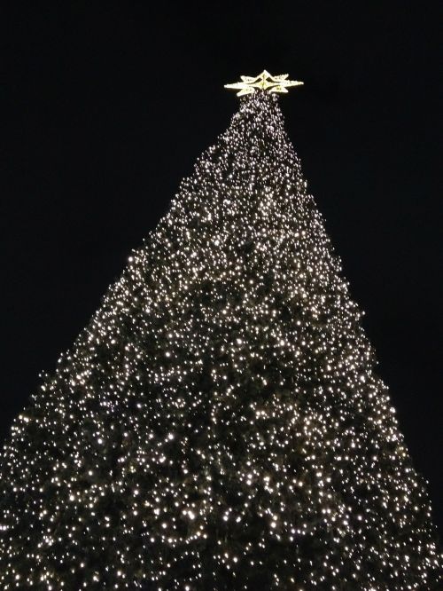 christmas tree berlin decorative