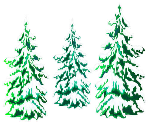 christmas tree  pine trees  snow