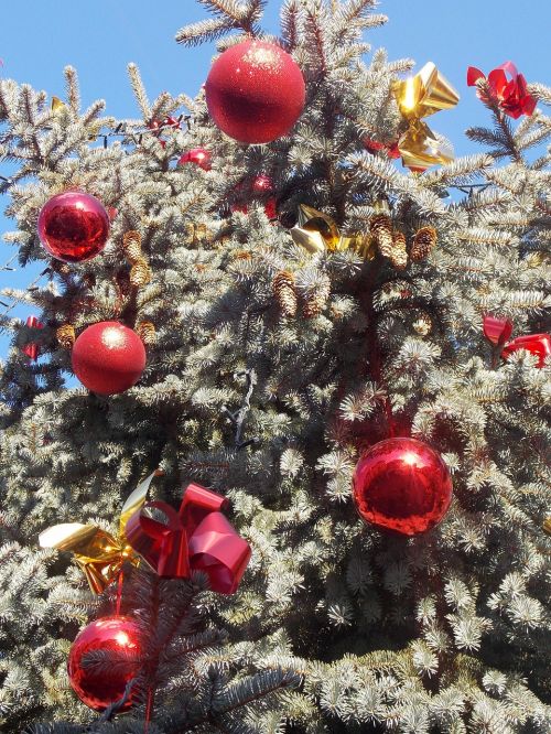 christmas tree december christmas