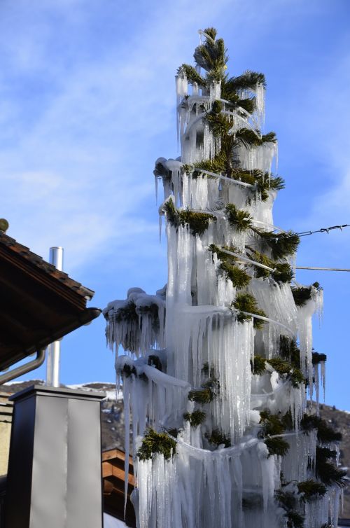 christmas tree ice christmas tree leaf covered with ice the ice on the christmas tree icicles