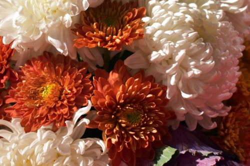 chrysanthemum bouquet flowers