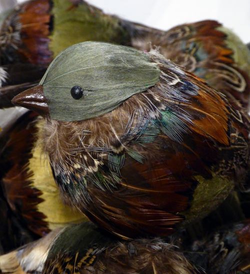 Chubby Bird Decoration