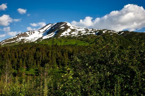 chugach national forest alaska landscape