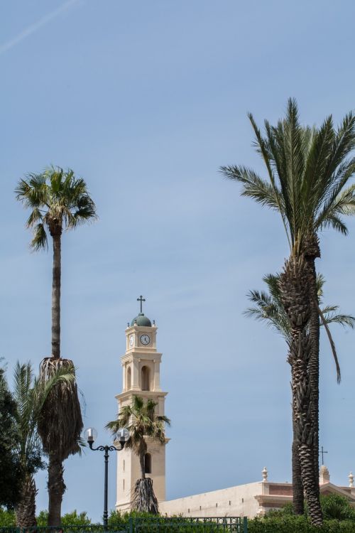 church tower palm trees