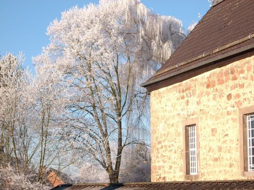 church tree sky