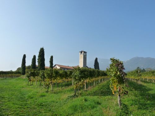 church vineyards bergamo