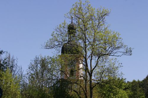church spring trees