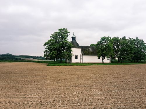 church field trees