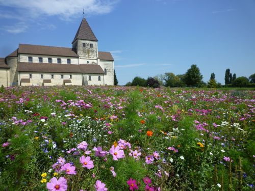 church monastery nature