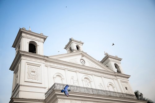 church  birds  architecture