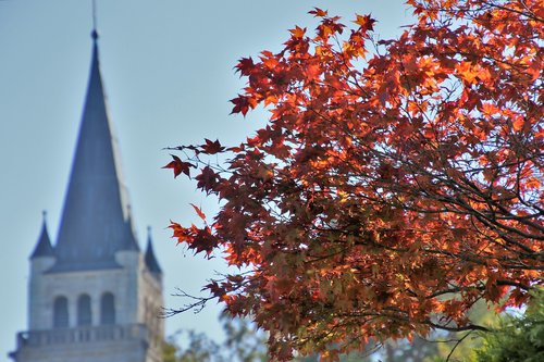 church  foliage  in the fall