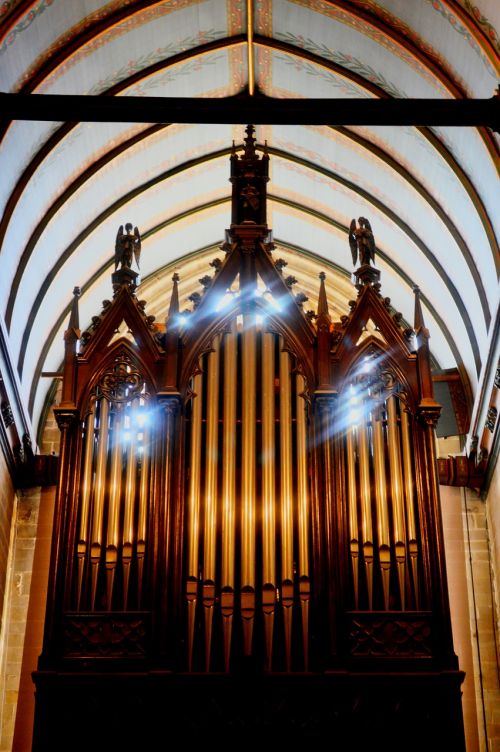 church organ light