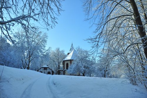 church forest winter