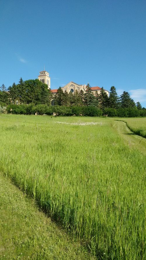 church building cloister field