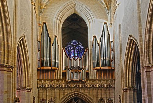 church organ organ ulm cathedral