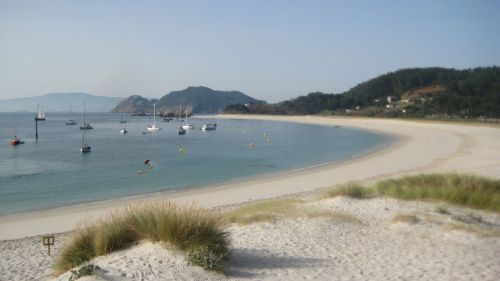 Cies