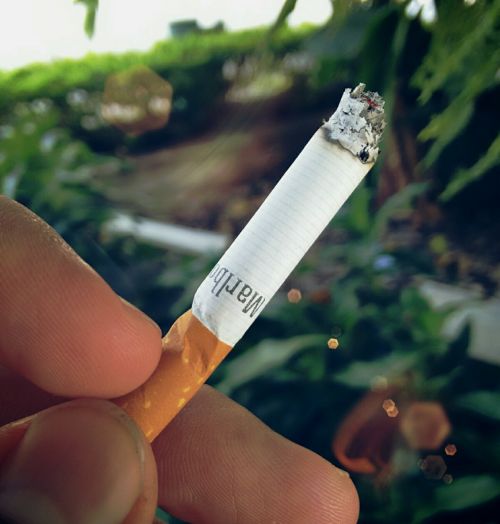 cigar cigarette smoking