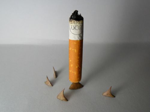 cigarette addiction butt