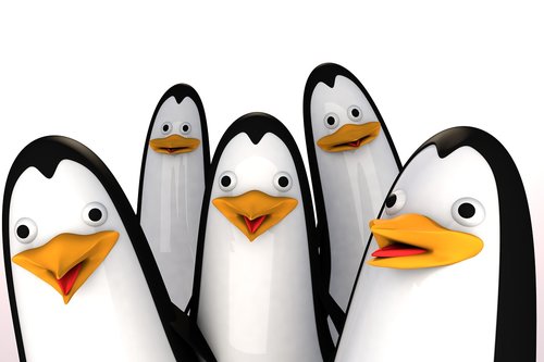 cinema 4d  penguin  penguins