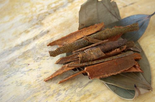 cinnamon indian spice