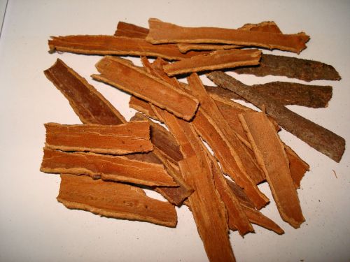 cinnamon fresh sticks