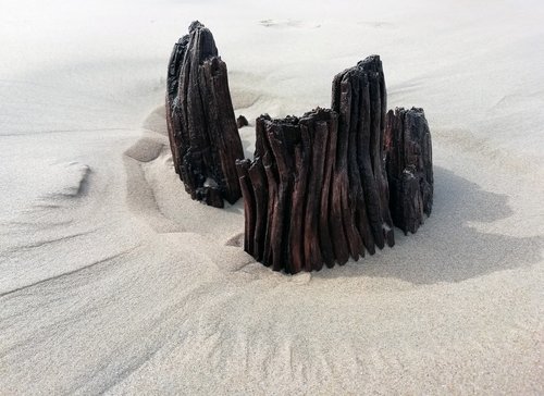 cintsa beach  sand  wood