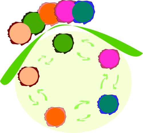 circles motion colours