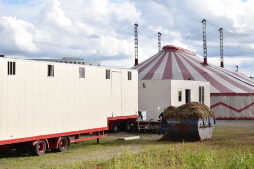 circus circus tent small